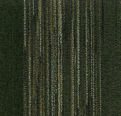 Ковровая плитка Coral Interior 1518 Rain Forest фото 1 | FLOORDEALER